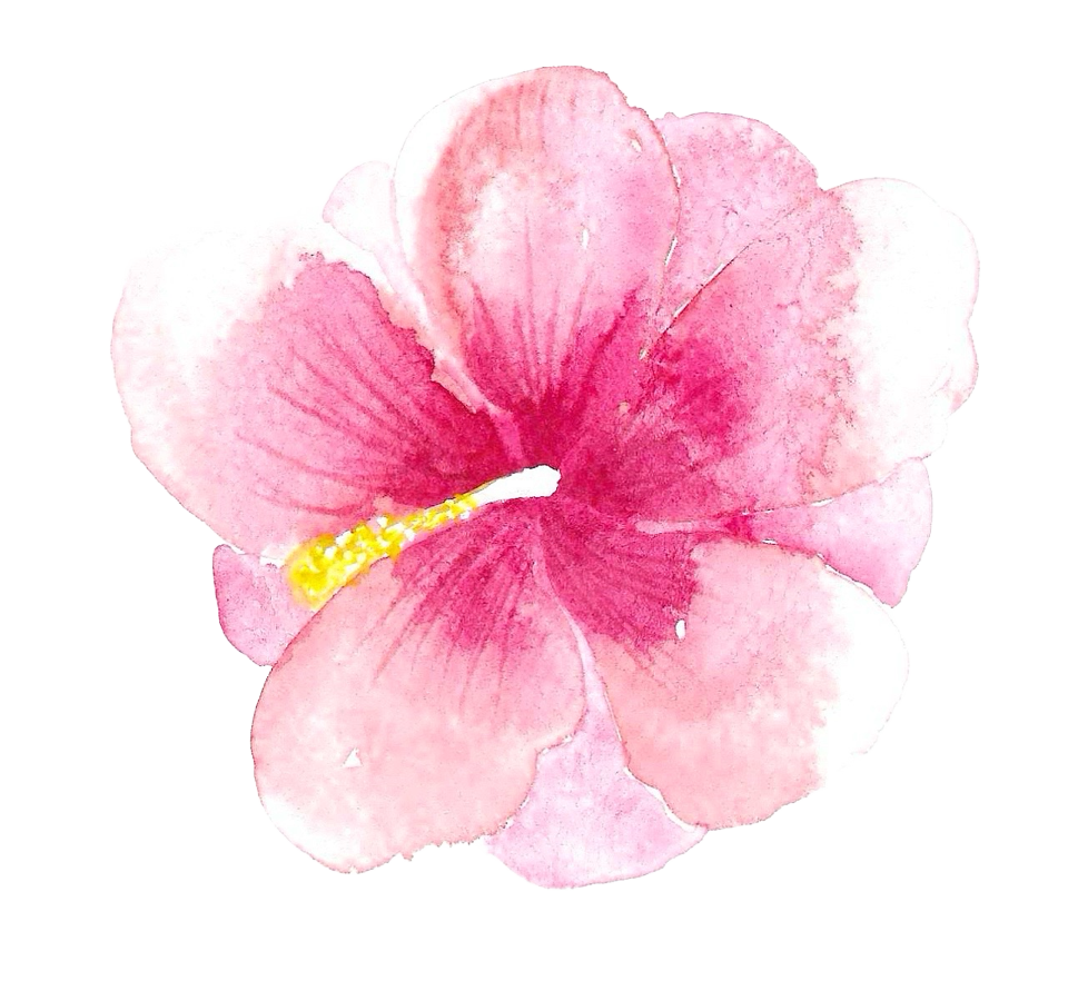 Hibiscus flower watercolor